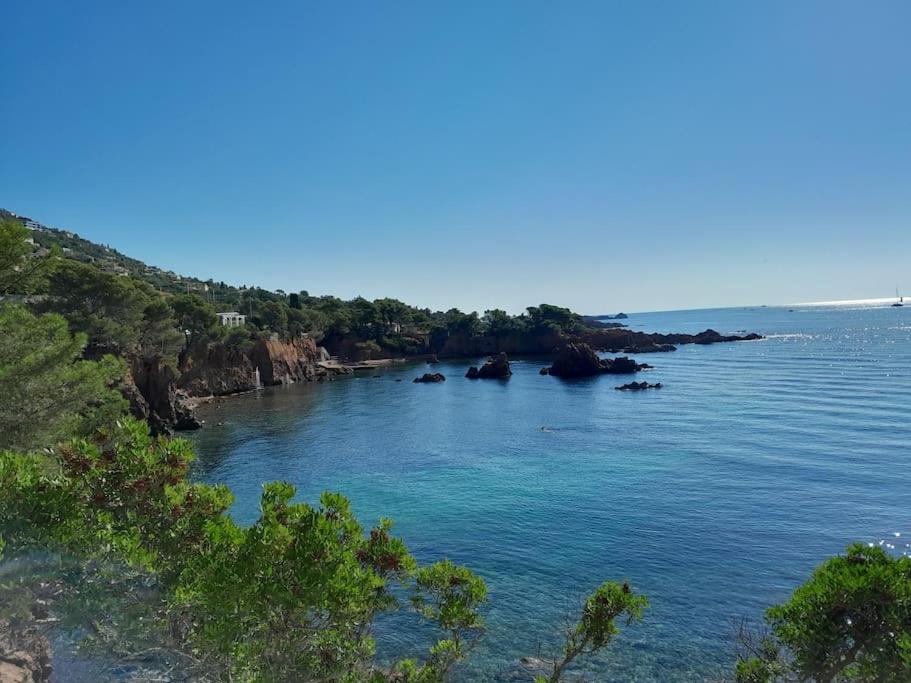 Charmant Studio Lumineux Avec Parking Prive Saint-Raphaël 외부 사진