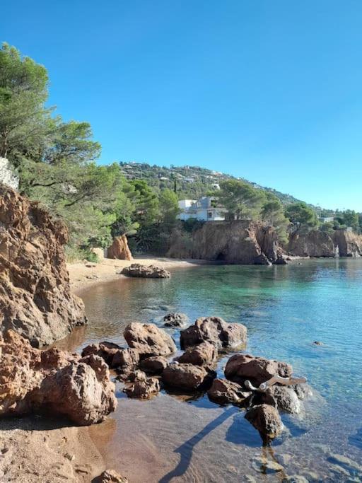 Charmant Studio Lumineux Avec Parking Prive Saint-Raphaël 외부 사진