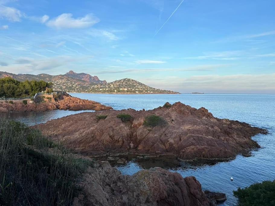 Charmant Studio Lumineux Avec Parking Prive Saint-Raphaël 외부 사진